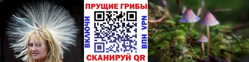 Галлюциногенные грибы GOLDEN TEACHER  hydra   Новокузнецк  наркотики 