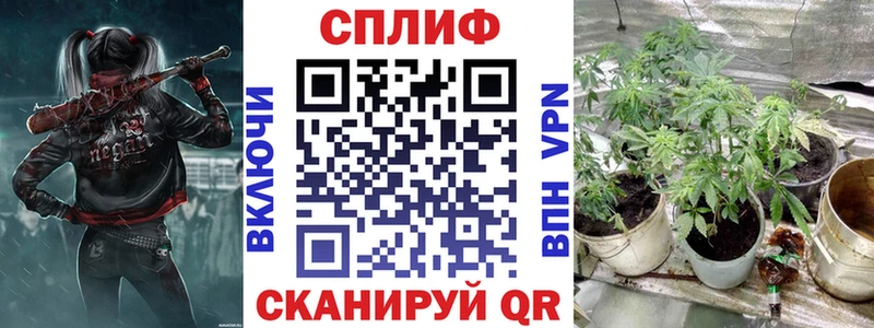 Марихуана планчик  Новокузнецк 